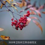 2025年卫生村工作总结范文