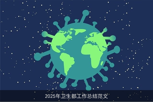 2025年卫生部工作总结范文