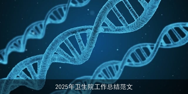 2025年卫生院工作总结范文