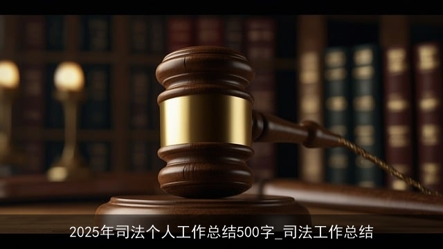 2025年司法个人工作总结500字_司法工作总结