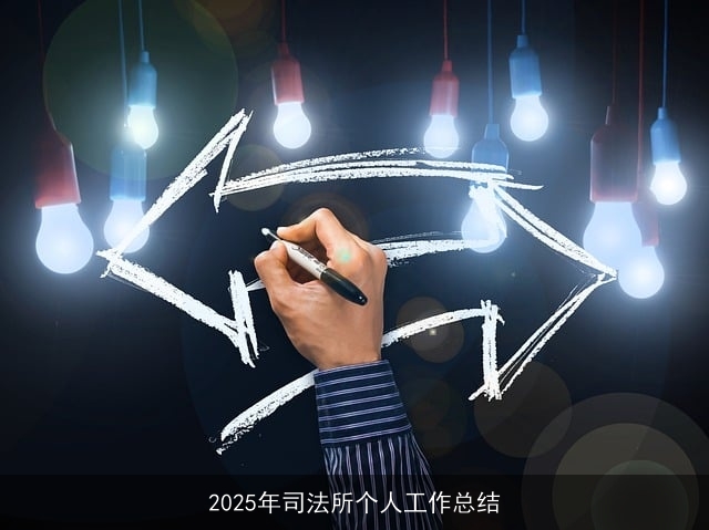 2025年司法所个人工作总结