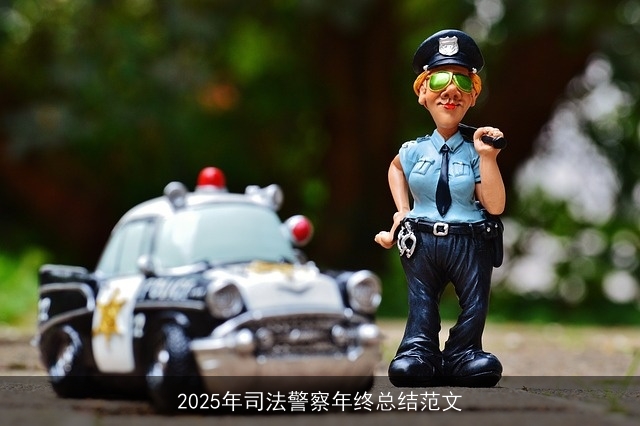 2025年司法警察年终总结范文