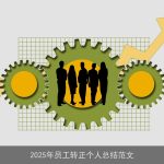 2025年员工转正个人总结范文