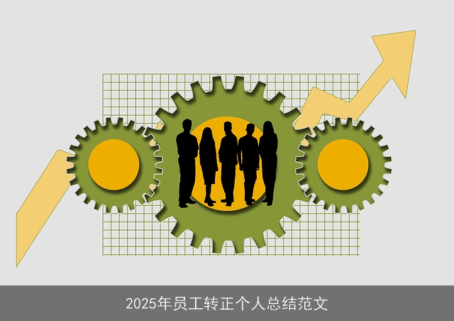 2025年员工转正个人总结范文