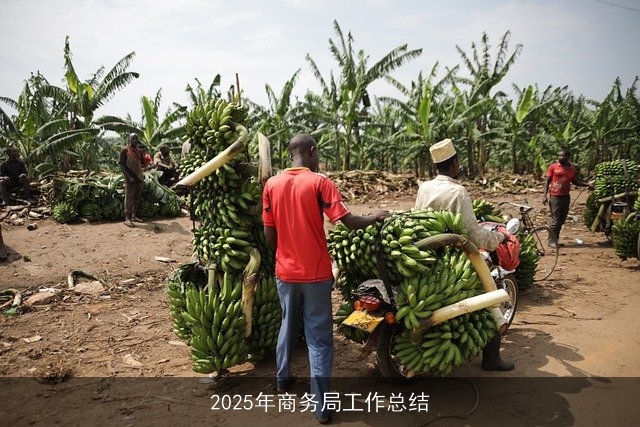 2025年商务局工作总结