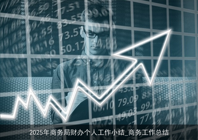 2025年商务局财办个人工作小结_商务工作总结