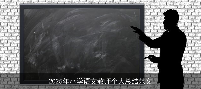 2025年小学语文教师个人总结范文