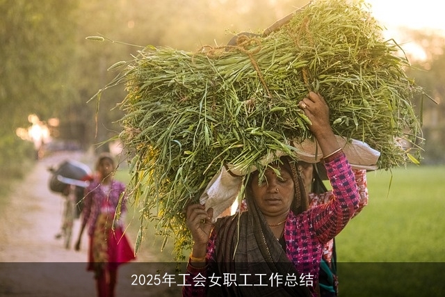 2025年工会女职工工作总结