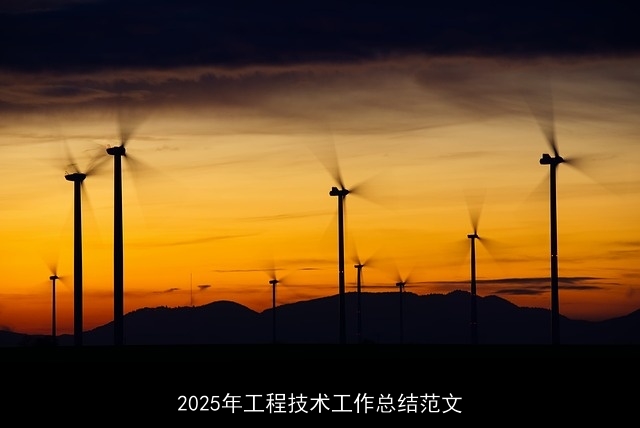 2025年工程技术工作总结范文