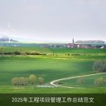 2025年工程项目管理工作总结范文