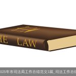 2025年市司法局工作总结范文3篇_司法工作总结