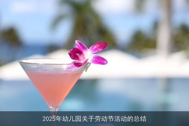 2025年幼儿园关于劳动节活动的总结