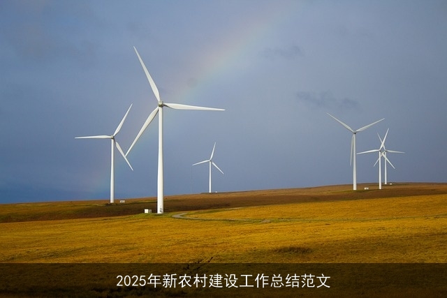 2025年新农村建设工作总结范文