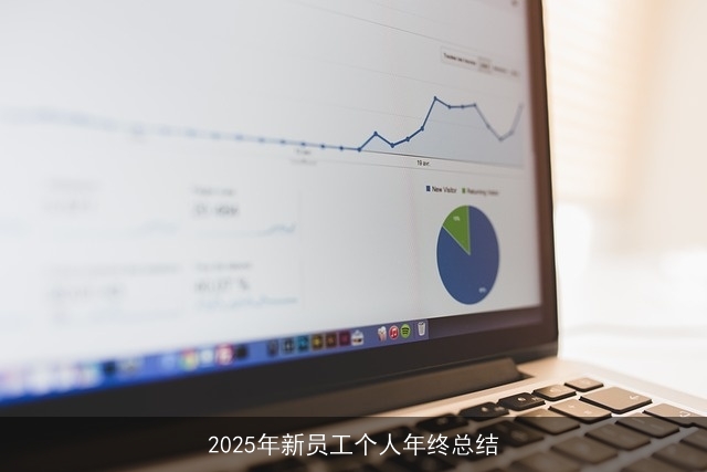 2025年新员工个人年终总结