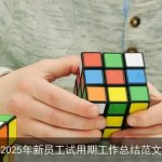 2025年新员工试用期工作总结范文