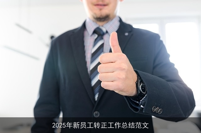 2025年新员工转正工作总结范文
