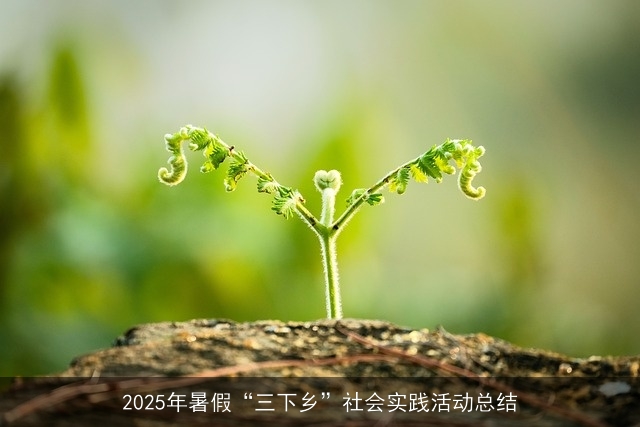 2025年暑假“三下乡”社会实践活动总结