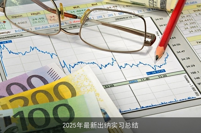 2025年最新出纳实习总结