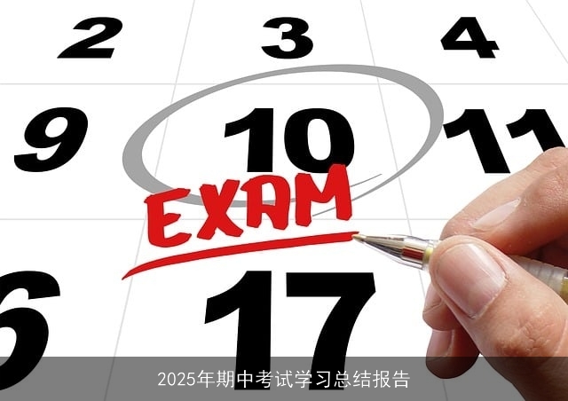 2025年期中考试学习总结报告
