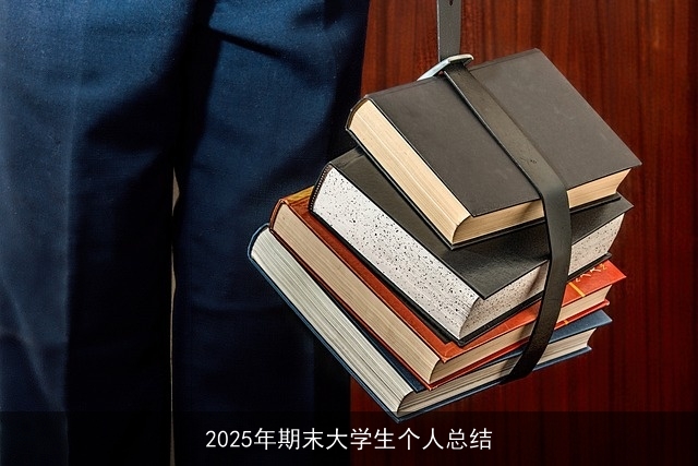2025年期末大学生个人总结