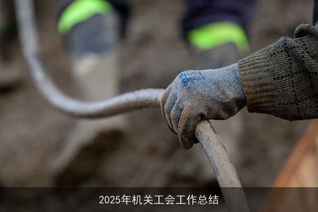 2025年机关工会工作总结