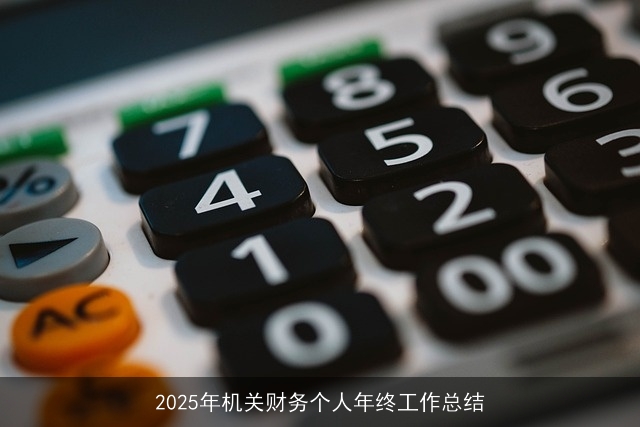 2025年机关财务个人年终工作总结