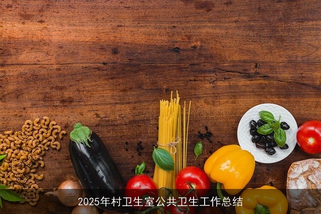 2025年村卫生室公共卫生工作总结