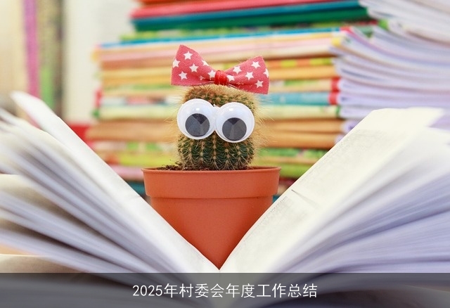 2025年村委会年度工作总结