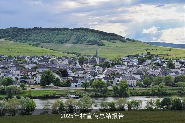 2025年村宣传总结报告