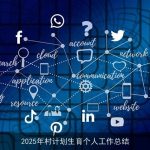 2025年村计划生育个人工作总结