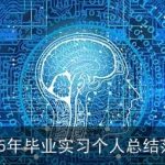 2025年毕业实习个人总结范文