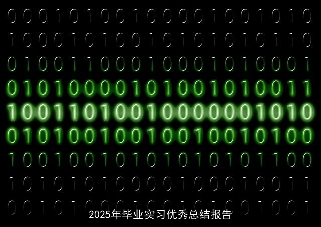 2025年毕业实习优秀总结报告