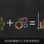 2025年营销个人工作总结范文