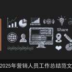 2025年营销人员工作总结范文