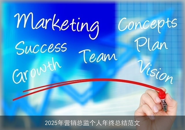 2025年营销总监个人年终总结范文