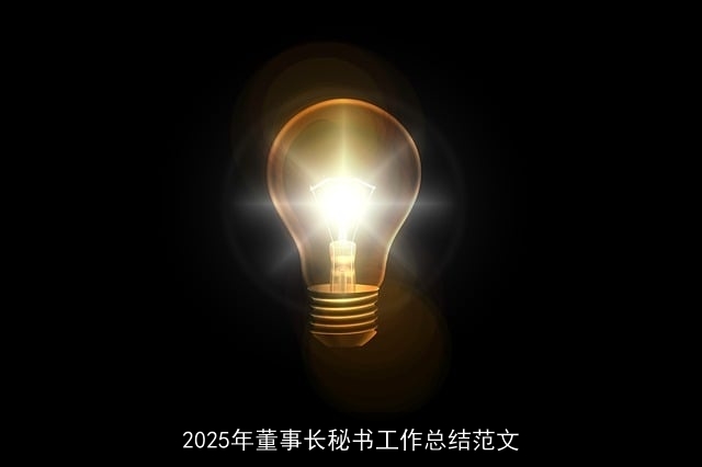 2025年董事长秘书工作总结范文