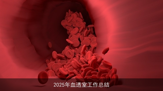 2025年血透室工作总结