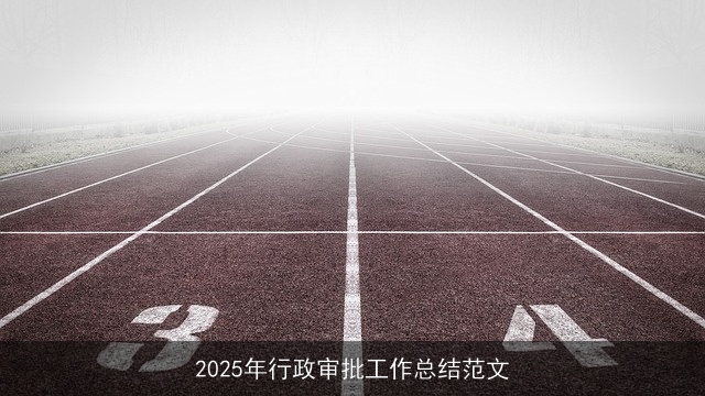 2025年行政审批工作总结范文