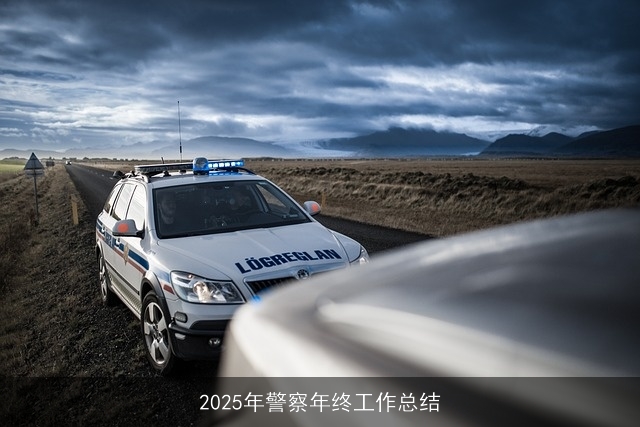 2025年警察年终工作总结