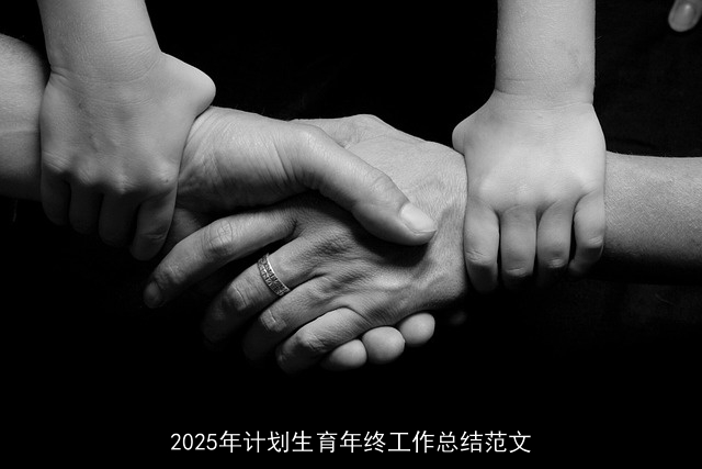 2025年计划生育年终工作总结范文