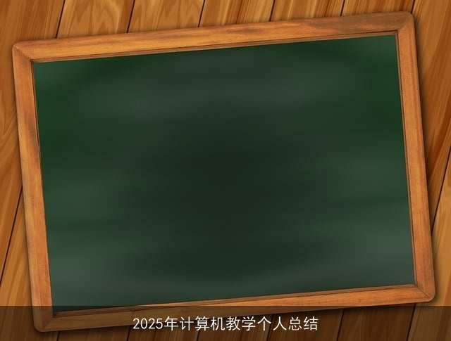 2025年计算机教学个人总结