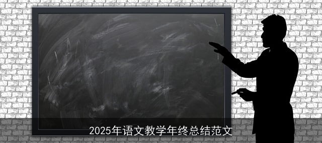 2025年语文教学年终总结范文