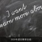 2025年语文教学总结