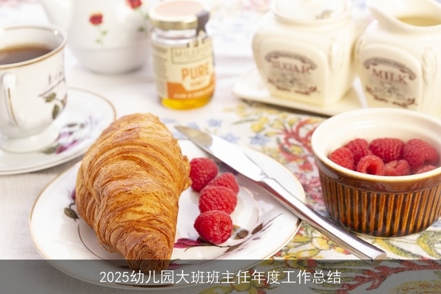 2025幼儿园大班班主任年度工作总结