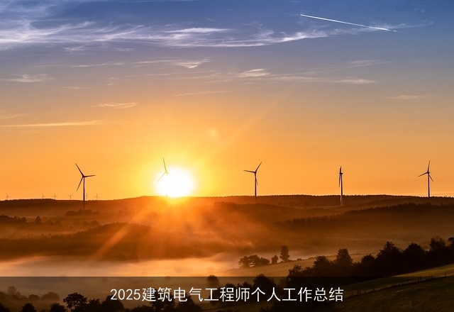 2025建筑电气工程师个人工作总结
