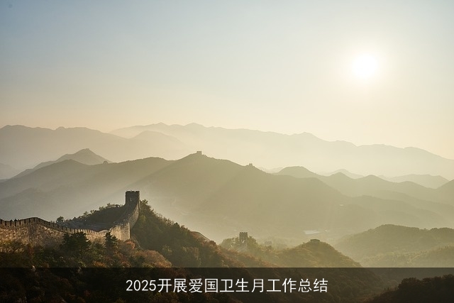 2025开展爱国卫生月工作总结