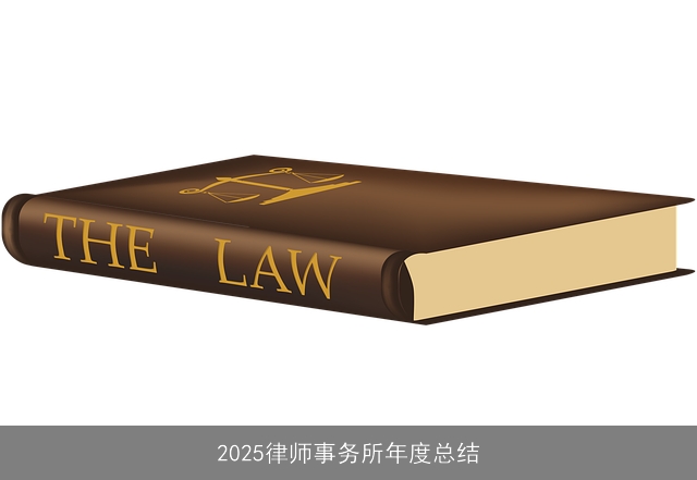 2025律师事务所年度总结