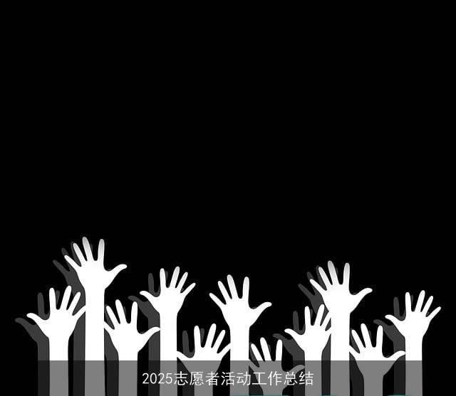 2025志愿者活动工作总结