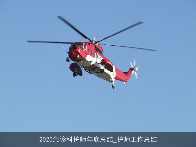 2025急诊科护师年底总结_护师工作总结