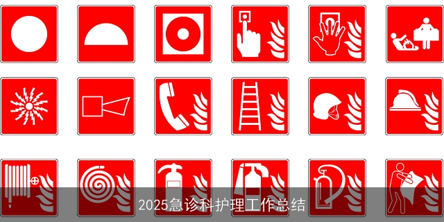 2025急诊科护理工作总结